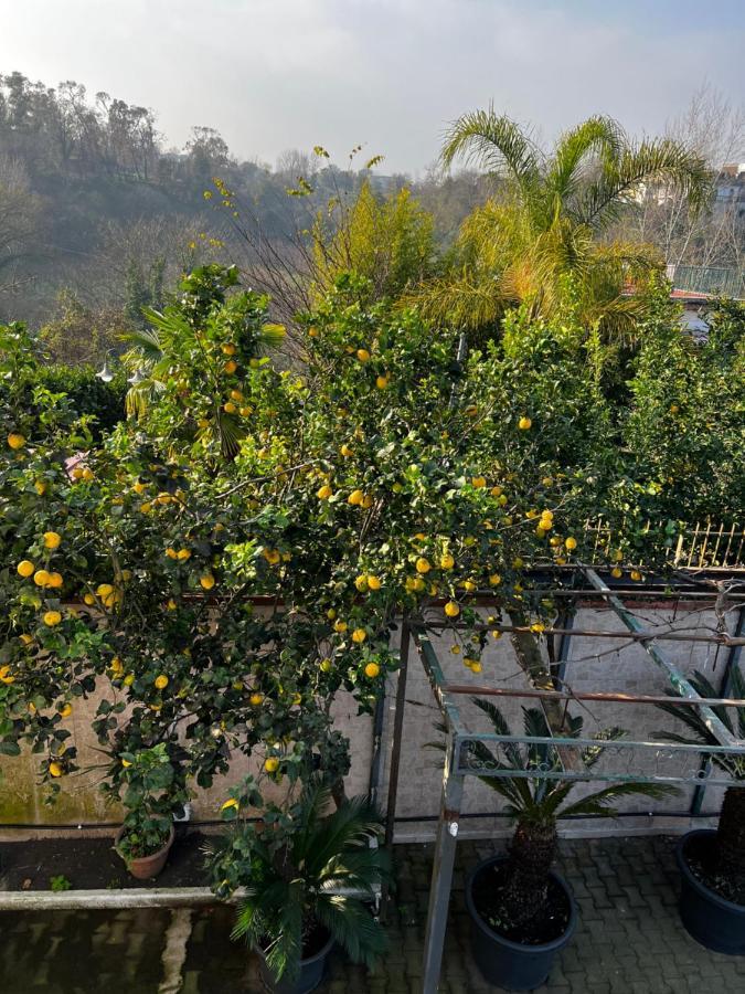La Casa Del Bosco - Unique Two Floors House With Garden * Napoli